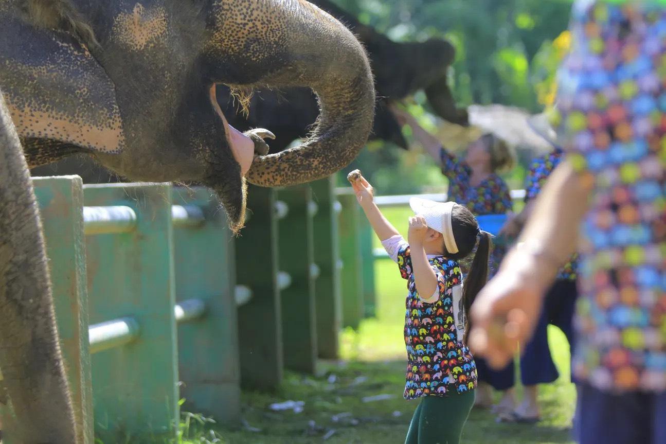 Immerse in Mae Taeng’s secure and vibrant heritage